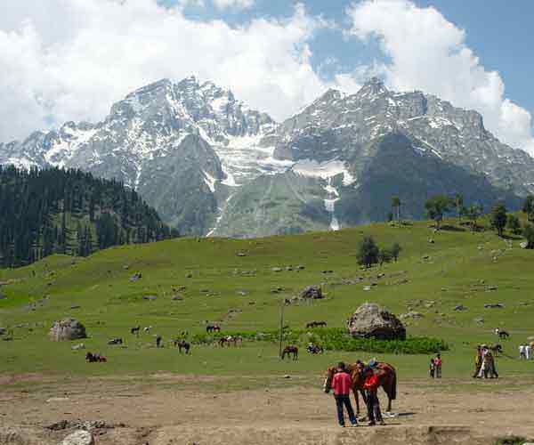 Summer Holiday India